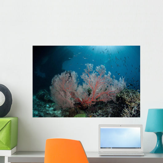 Sunlight Illuminates Large Gorgonian Wall Decal Design 2