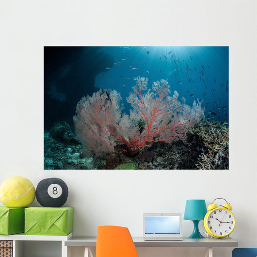 Sunlight Illuminates Large Gorgonian Wall Decal Design 2