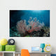Sunlight Illuminates Large Gorgonian Wall Decal Design 2