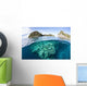 Beautiful Coral Reef Grows Wall Decal Design 2