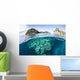 Beautiful Coral Reef Grows Wall Decal Design 2