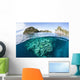 Beautiful Coral Reef Grows Wall Decal Design 2