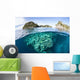 Beautiful Coral Reef Grows Wall Decal Design 2