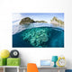 Beautiful Coral Reef Grows Wall Decal Design 2