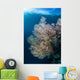 Sunlight Illuminates Large Gorgonian Wall Decal Design 1