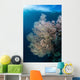Sunlight Illuminates Large Gorgonian Wall Decal Design 1