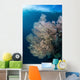 Sunlight Illuminates Large Gorgonian Wall Decal Design 1