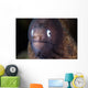 White-eyed Moray Eel Wall Decal Design 2