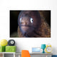 White-eyed Moray Eel Wall Decal Design 2