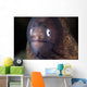 White-eyed Moray Eel Wall Decal Design 2
