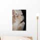 Eye Giant Frogfish Wall Decal Design 2