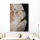 Eye Giant Frogfish Wall Decal Design 2
