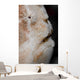 Eye Giant Frogfish Wall Decal Design 2