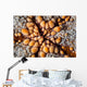 Detail Pin Cushion Starfish Wall Decal