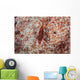 Tiny Shrimp Lives Pin Wall Decal