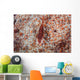 Tiny Shrimp Lives Pin Wall Decal
