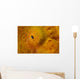 Close-up Giant Frogfish Wall Decal