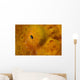Close-up Giant Frogfish Wall Decal