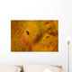 Close-up Giant Frogfish Wall Decal