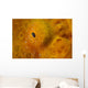 Close-up Giant Frogfish Wall Decal