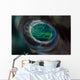 Detail Eye Porcupinefish Wall Decal