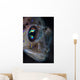 Detail Face and Eye Wall Decal
