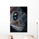 Detail Face and Eye Wall Decal