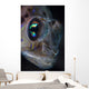 Detail Face and Eye Wall Decal