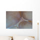 Saltwater Shrimp Living Bubble Wall Decal