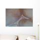 Saltwater Shrimp Living Bubble Wall Decal