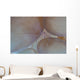 Saltwater Shrimp Living Bubble Wall Decal