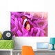 Clark's Anemonefish Snuggles amongst Wall Decal Design 1