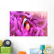 Clark's Anemonefish Snuggles amongst Wall Decal Design 1
