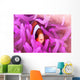 Clark's Anemonefish Snuggles amongst Wall Decal Design 1