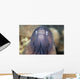 White-eyed Moray Eel Wall Decal Design 1
