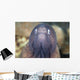 White-eyed Moray Eel Wall Decal Design 1
