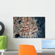 Hairy Frogfish Waits to Wall Decal Design 2