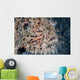 Hairy Frogfish Waits to Wall Decal Design 2