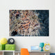 Hairy Frogfish Waits to Wall Decal Design 2