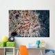Hairy Frogfish Waits to Wall Decal Design 2