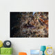 Hairy Frogfish Waits to Wall Decal Design 1