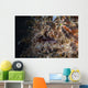 Hairy Frogfish Waits to Wall Decal Design 1