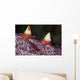 Tiny Shrimp Lives Starfish Wall Decal
