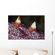 Tiny Shrimp Lives Starfish Wall Decal