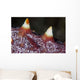 Tiny Shrimp Lives Starfish Wall Decal
