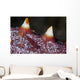 Tiny Shrimp Lives Starfish Wall Decal