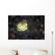 Juvenile Yellow Boxfish Lembeh Wall Decal