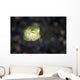Juvenile Yellow Boxfish Lembeh Wall Decal
