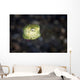 Juvenile Yellow Boxfish Lembeh Wall Decal