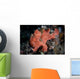 Well-camouflaged Frogfish Waits to Wall Decal Design 1